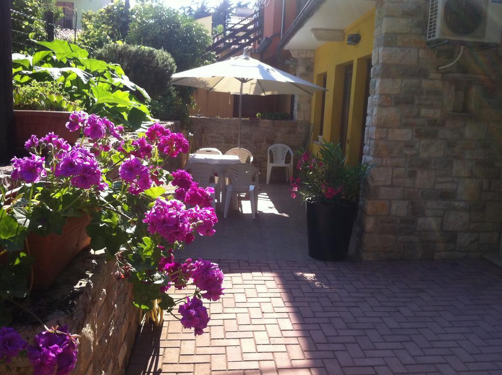Apartment Sincic Novigrad  Zewnętrze zdjęcie