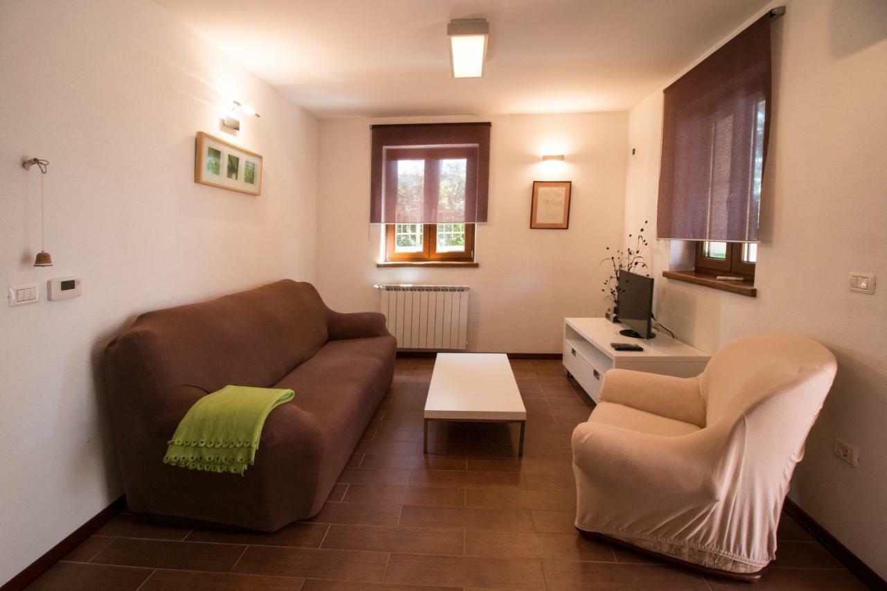 Apartment Sincic Novigrad  Zewnętrze zdjęcie