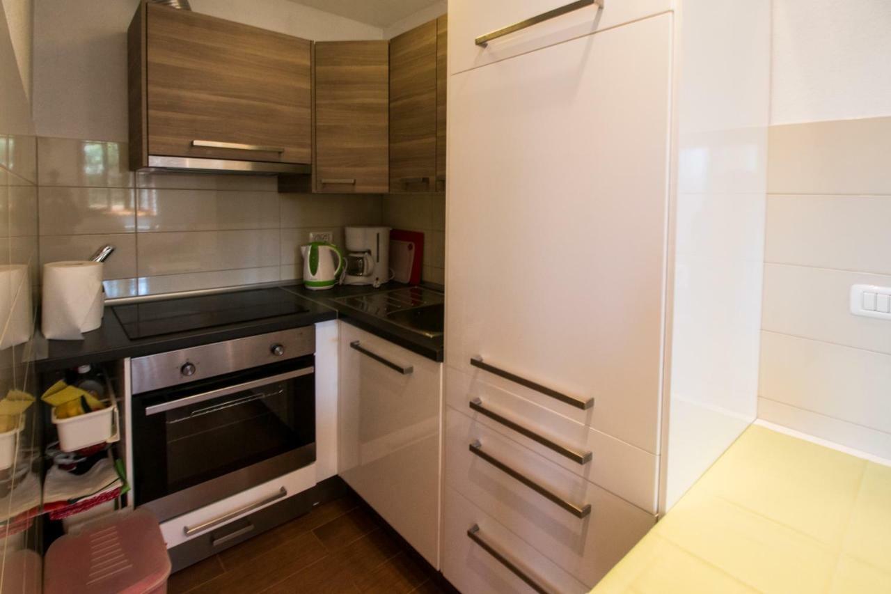 Apartment Sincic Novigrad  Zewnętrze zdjęcie