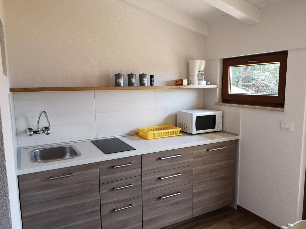 Apartment Sincic Novigrad  Zewnętrze zdjęcie